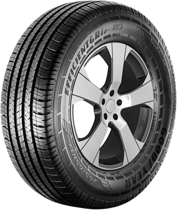 Pneu Goodyear Aro 19 EfficientGrip SUV 235/55R19 105V - Original Evoque